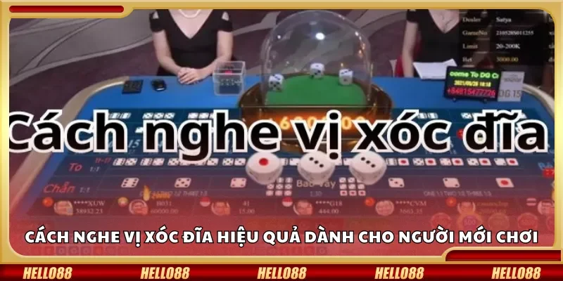 Cách nghe vị xóc đĩa hiệu quả dành cho người mới chơi