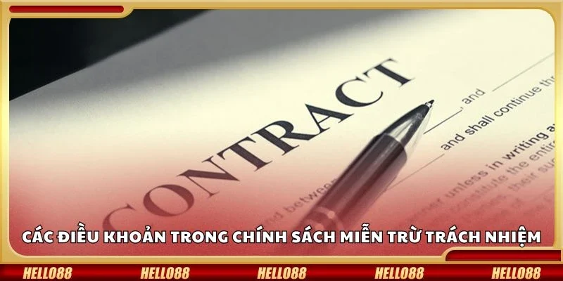 Các điều khoản trong chính sách miễn trừ trách nhiệm