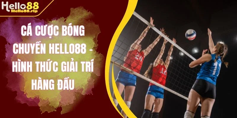 Feedback từ khách hàng