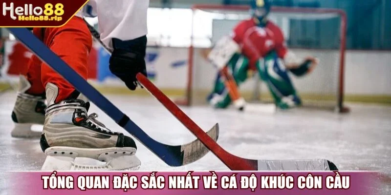 Tổng quan đặc sắc nhất về cá độ khúc côn cầu